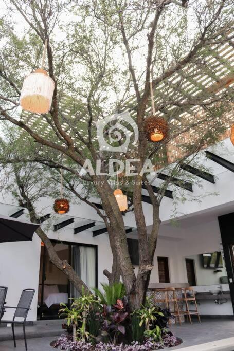 Villa Huizache Alberca Privada+Exclusividad+Lujo San Martín de las Pirámides Exterior foto